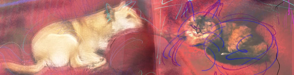 Data science cat and dog